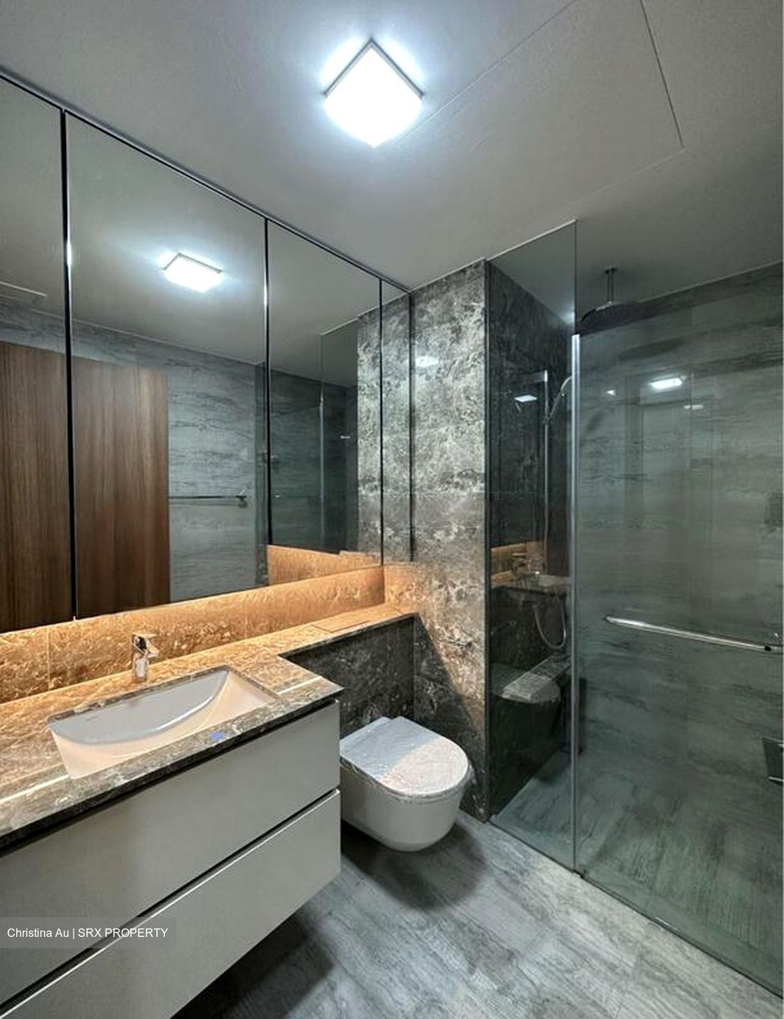 Fourth Avenue Residences (D10), Apartment #524081601